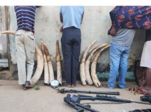 O SERNIC DETEVE CINQUENTA E UM (51) INDIVÍDUOS ENTRE 28 DE OUTUBRO E 03 DE NOVEMBRO DE 2025 POR PRÁTICA DE VÁRIOS CRIMES