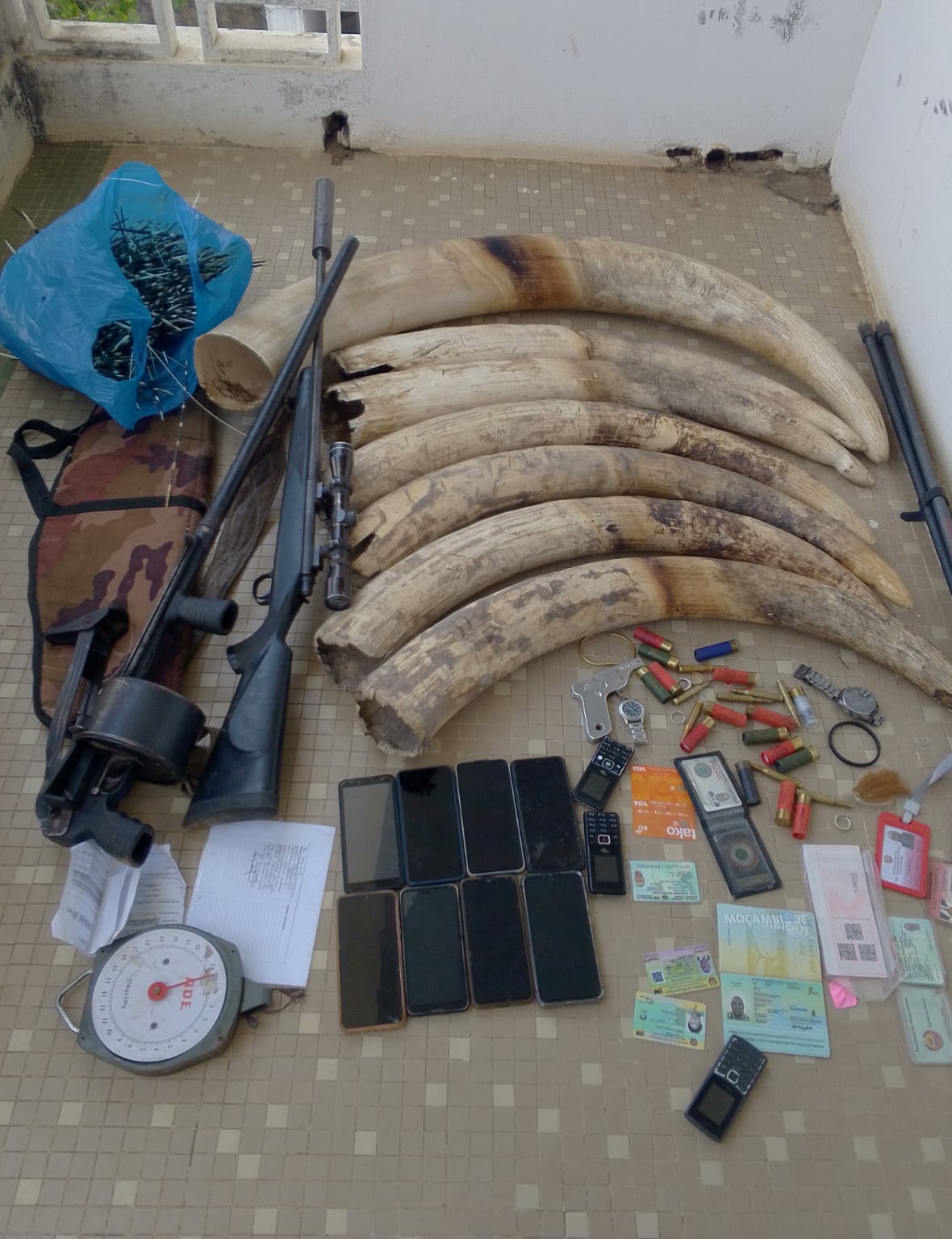 O SERNIC DETEVE CINQUENTA E UM (51) INDIVÍDUOS ENTRE 28 DE OUTUBRO E 03 DE NOVEMBRO DE 2025 POR PRÁTICA DE VÁRIOS CRIMES