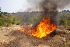 Entre 26 de Agosto a 01 de Setembro de 2025, o SERNIC incinerou cerca de 184.63Kg de Drogas e deteve 15 indivíduos por vários Crimes nos diferentes pontos do País. eee